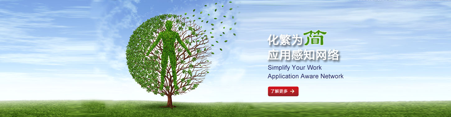 深度业务路由交换网关